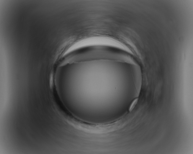 X0000088210019200705221752