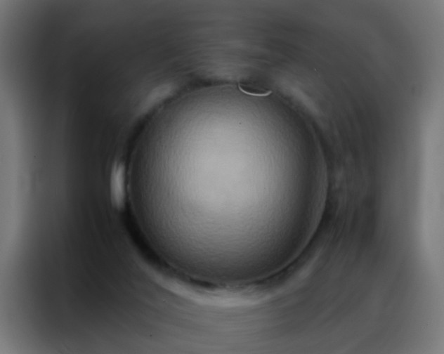 X0000088210020200705221752