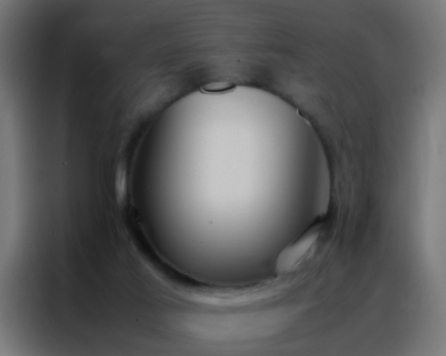 X0000088210021200705221752