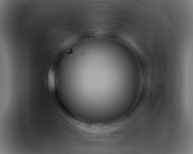X0000088210022200705221752