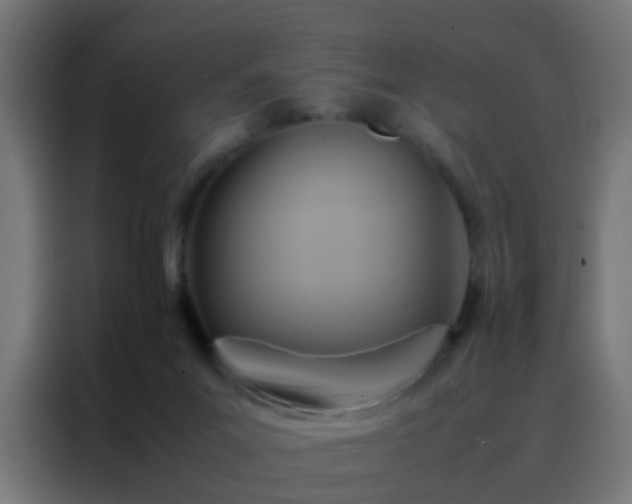 X0000088210023200705221752
