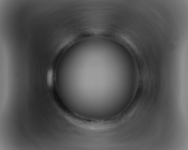 X0000088210024200705221752