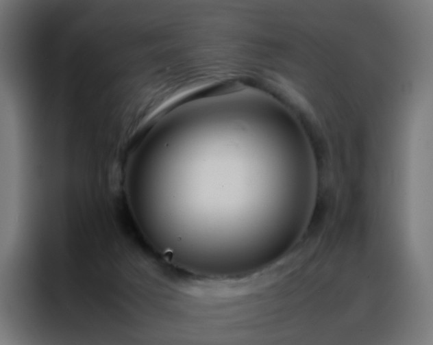 X0000088210025200705221752