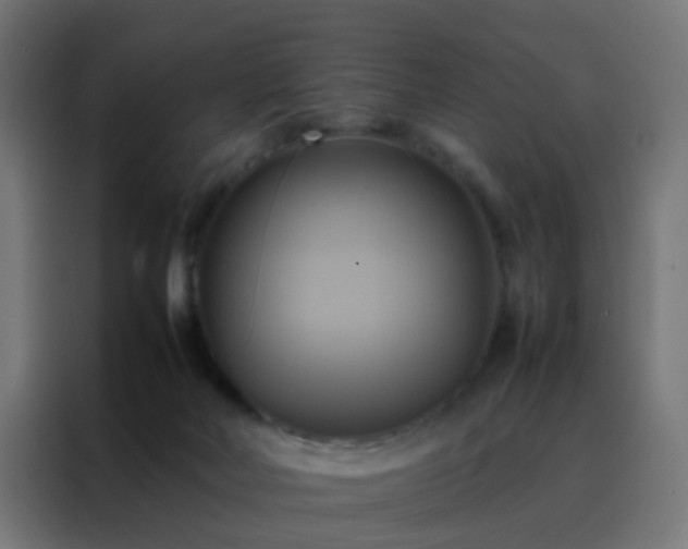 X0000088210026200705221752