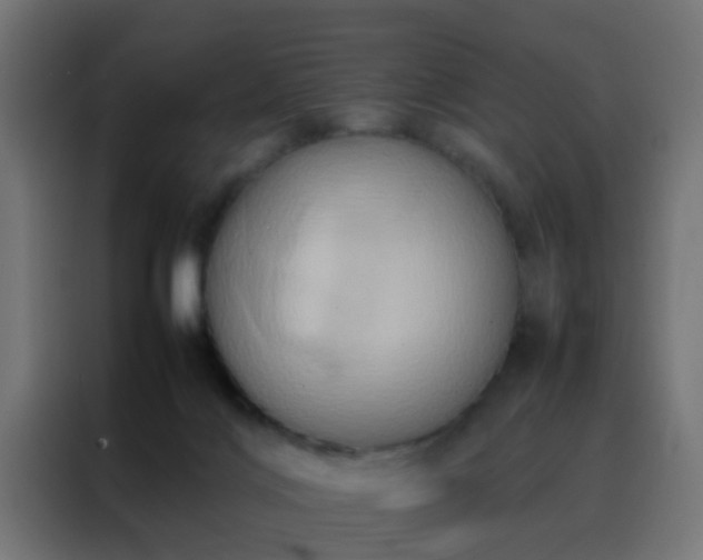 X0000088210028200705221752