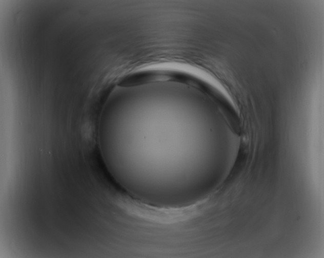 X0000088210031200705221752