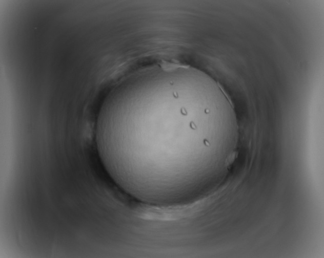 X0000088210033200705221752