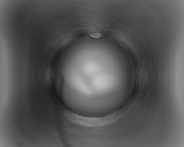 X0000088210034200705221752