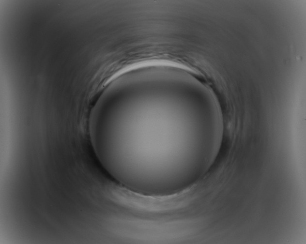 X0000088210035200705221752