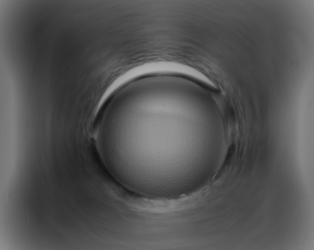 X0000088210037200705221752