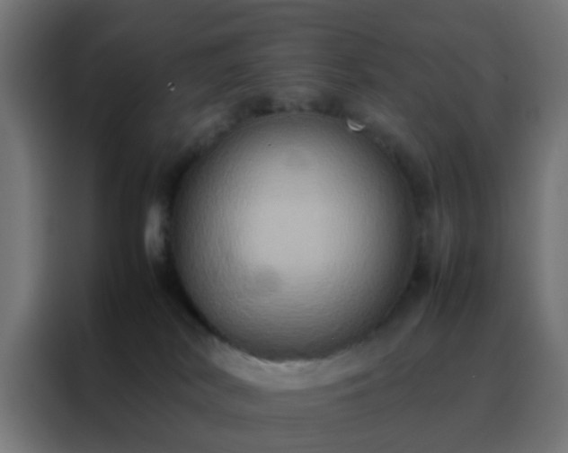 X0000088210038200705221752
