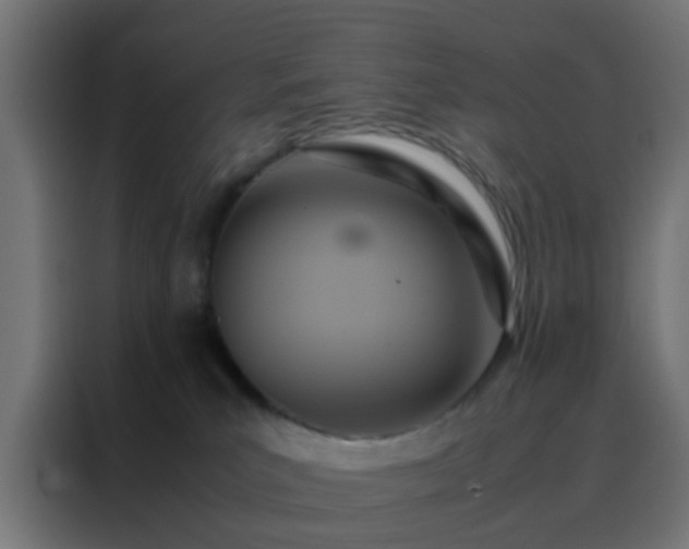 X0000088210039200705221752