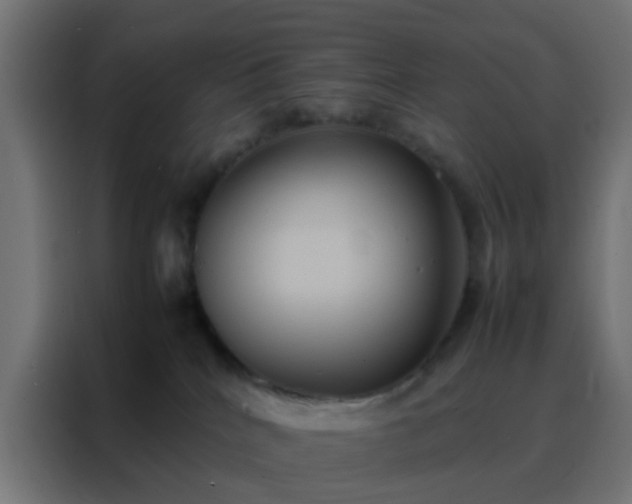 X0000088210040200705221752
