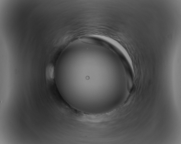 X0000088210041200705221752