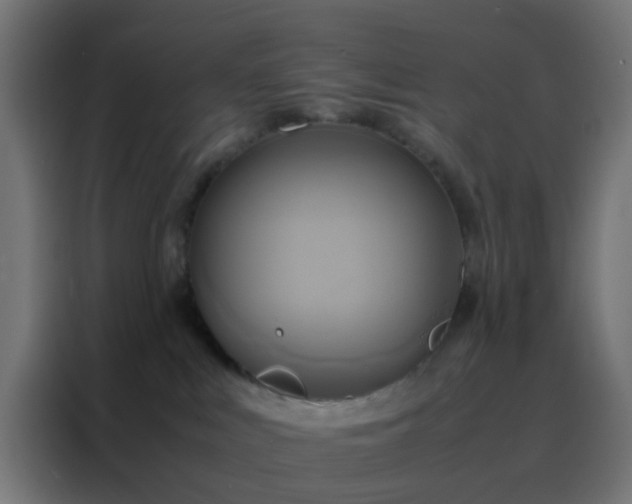 X0000088210043200705221752