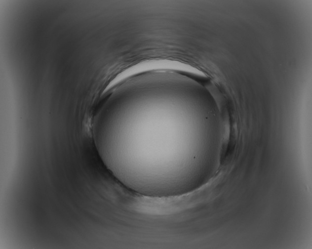 X0000088210045200705221752