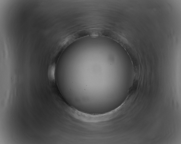 X0000088210047200705221752
