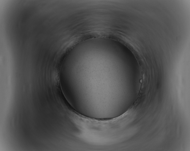 X0000088210048200705221752