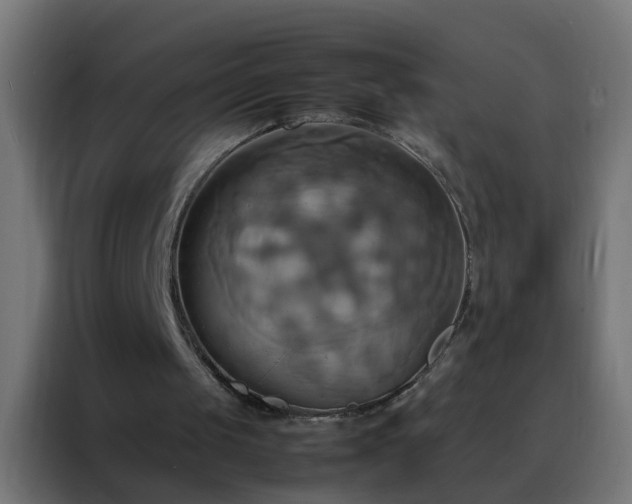X0000088210049200705221751
