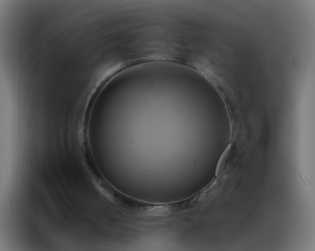 X0000088210050200705221751