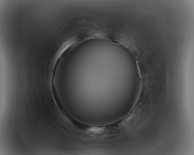 X0000088210051200705221751