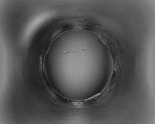 X0000088210052200705221752