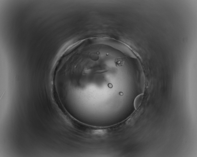 X0000088210053200705221752