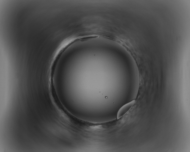 X0000088210054200705221752