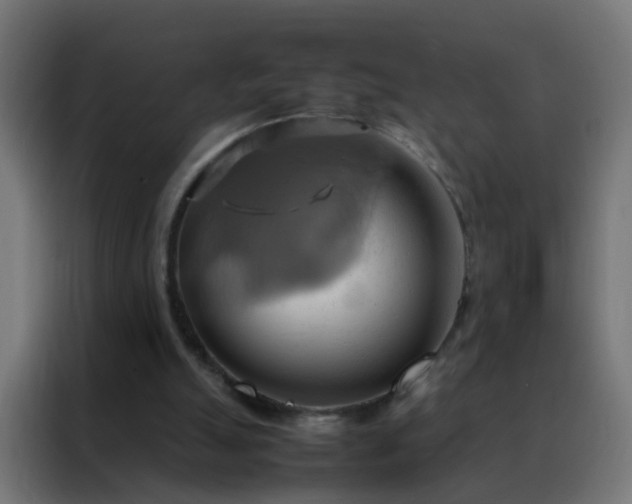 X0000088210055200705221752