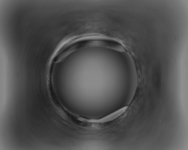 X0000088210056200705221752