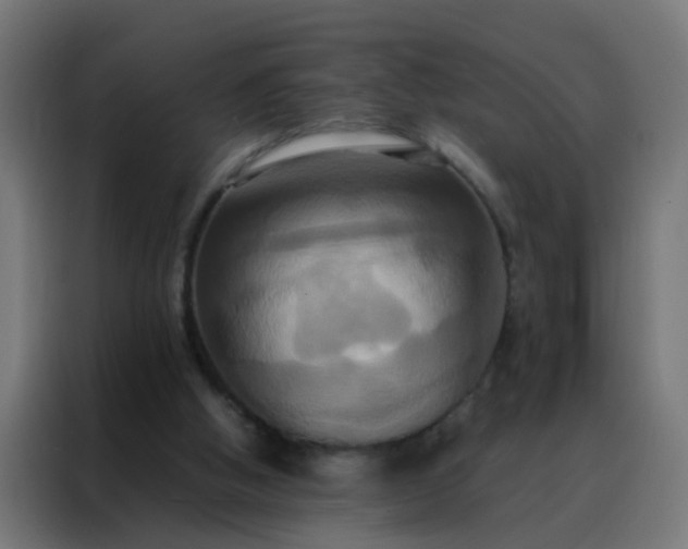 X0000088210058200705221752