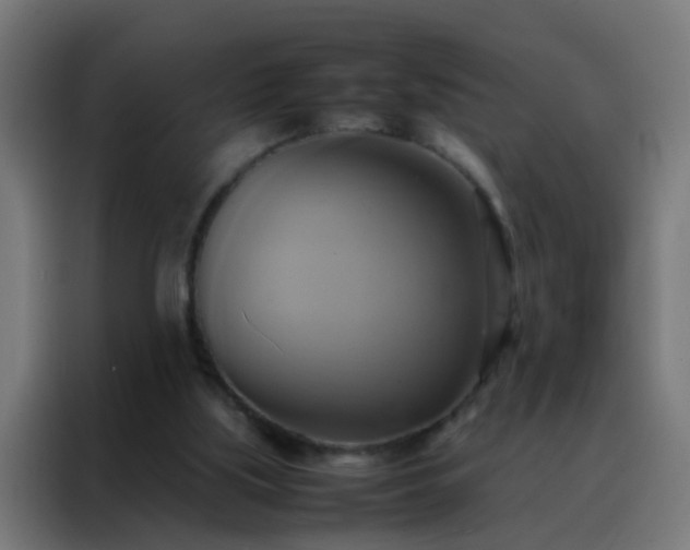 X0000088210059200705221752