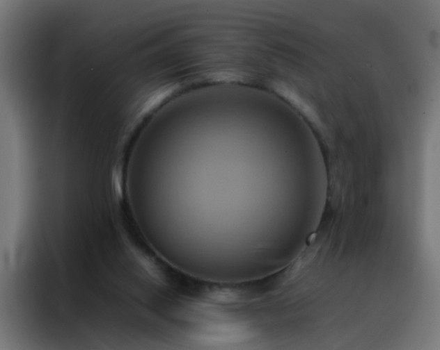 X0000088210062200705221752