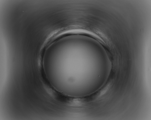 X0000088210064200705221752