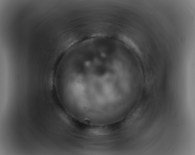 X0000088210065200705221752