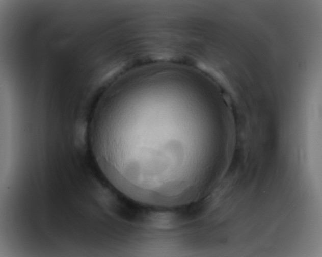 X0000088210066200705221752