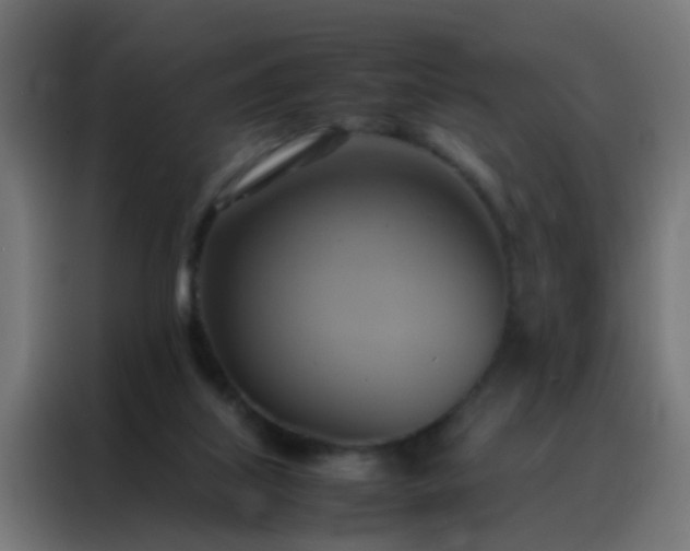X0000088210067200705221752
