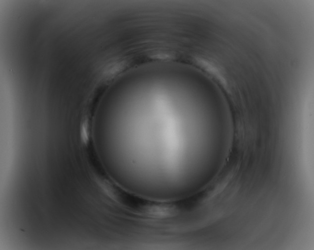 X0000088210069200705221752