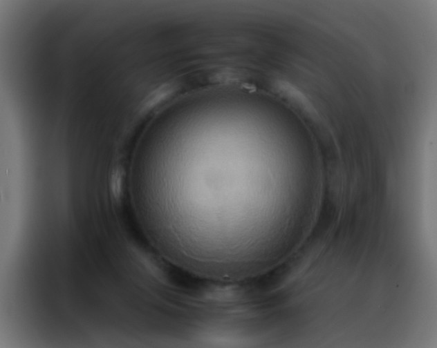 X0000088210071200705221752