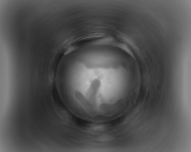 X0000088210073200705221752