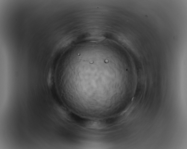 X0000088210074200705221752