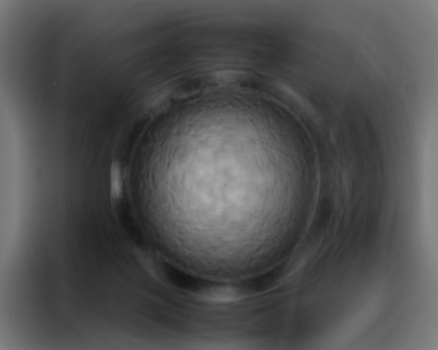 X0000088210075200705221752