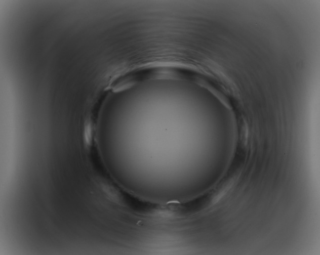 X0000088210076200705221752