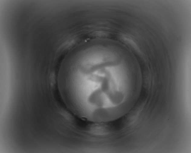 X0000088210077200705221752