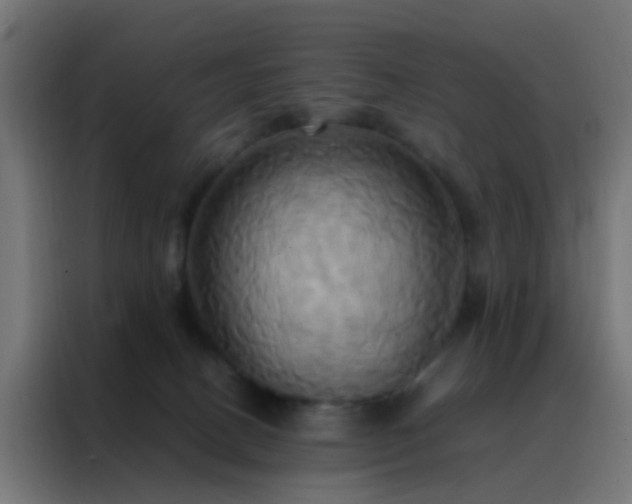 X0000088210082200705221752
