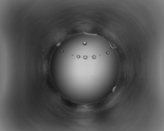X0000088210083200705221752