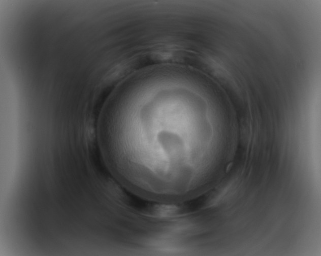 X0000088210085200705221752