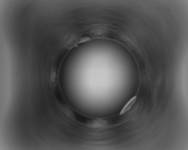 X0000088210087200705221752