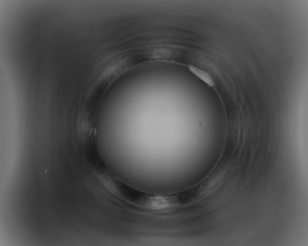 X0000088210091200705221752