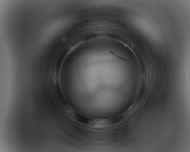 X0000088210093200705221752